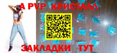 spice Гатчина
