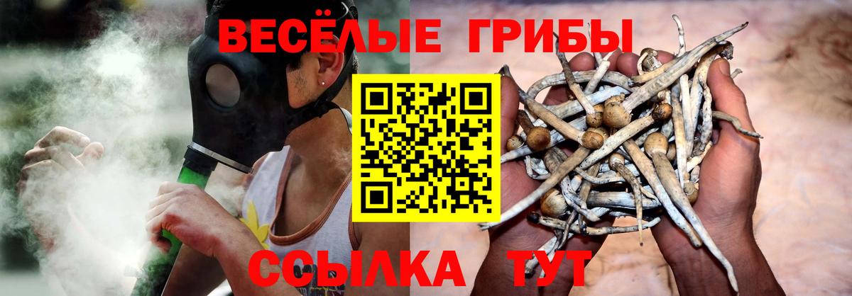 Краснокаменск  Псилоцибиновые грибы ЛСД  Вход с VPN 